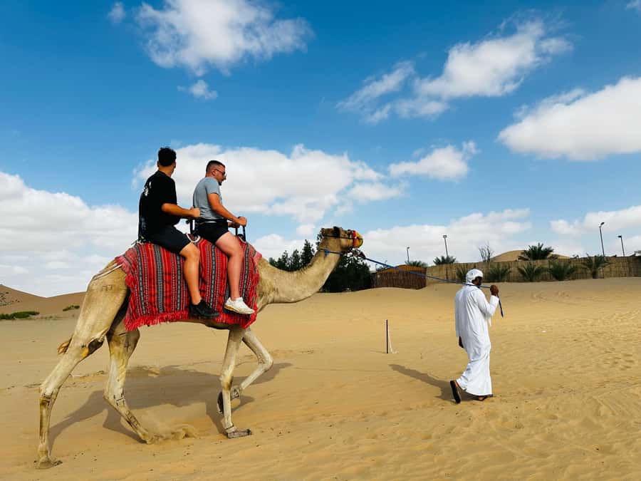 Abu Dhabi: Magical 4x4 Desert Tour with BBQ & Sandboarding - Sunset and Stars: Why the Timing Matters More Than You Think