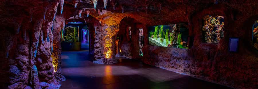 Abu Dhabi: National Aquarium Entrance Ticket - Key Points at a Glance