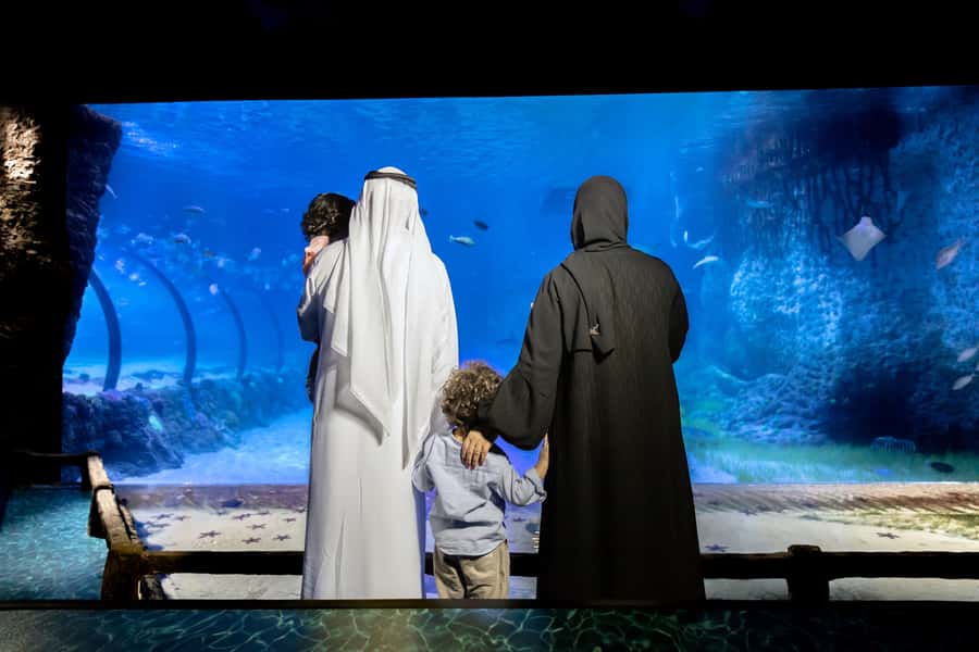 Abu Dhabi: National Aquarium Entrance Ticket - A Desert-Day Fix at the National Aquarium Abu Dhabi