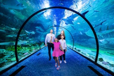 Abu Dhabi: National Aquarium Entrance Ticket - Price and Logistics: Is the $29 Entry Ticket Good Value?