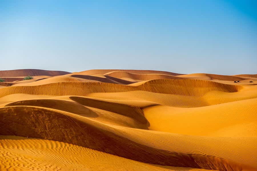 Abu Dhabi Traditional Desert Camp Experience And Quad Bike - The Dune Bashing Session: 4x4 Thrills With Safety Features