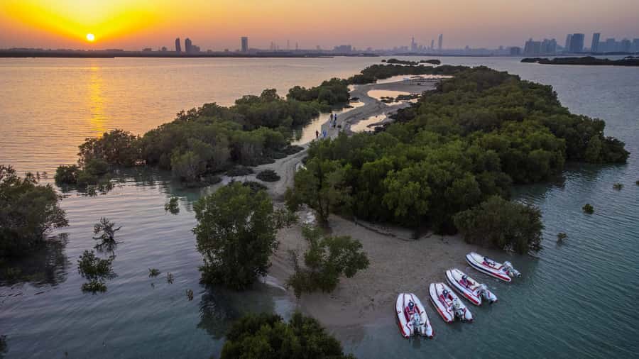 Abu Dhabi: Yas Island Self-Driving Guided Speedboat Tour - Heritage Island: nostalgia on the water, plus animal sightings
