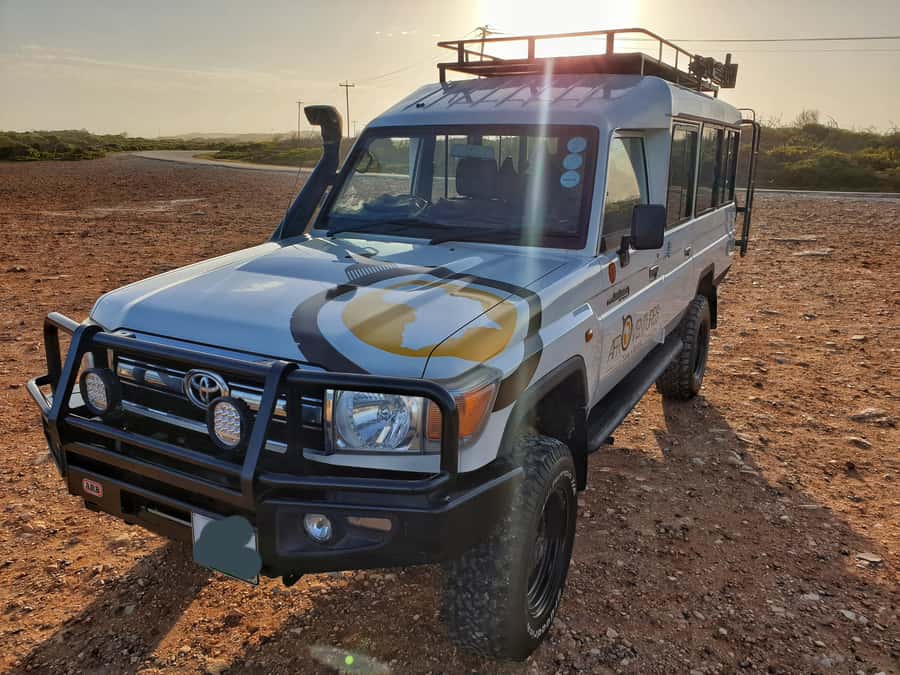 Addo Elephant National Park All Inclusive Full-Day Safari - Timing, Weather, and the Safari Reality Check
