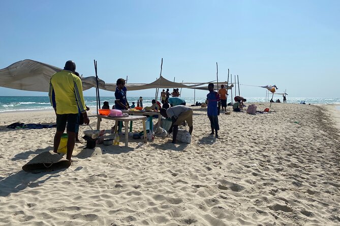 Affordable and Reliable Taxi Services in Zanzibar Island - Why a prebooked Zanzibar taxi beats the scramble