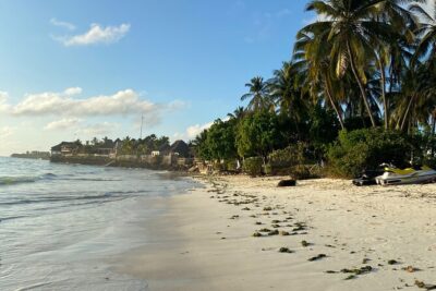 Affordable and Reliable Taxi Services in Zanzibar Island - Price and value: $20 per group up to 5