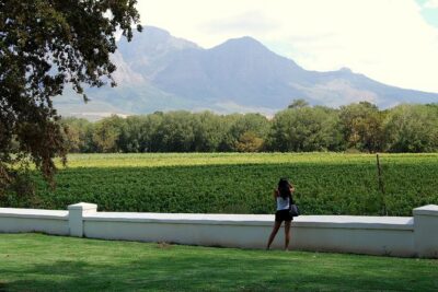 African Story Wine Tours in the Cape Winelands - The wine tastings: what you’re actually learning