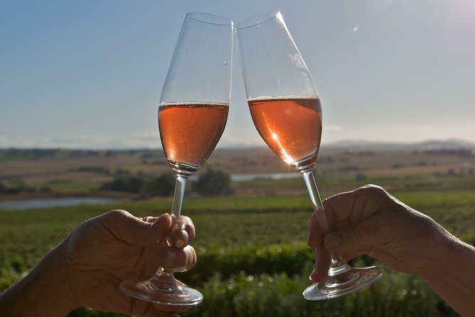 African Story Wine Tours in the Cape Winelands - Price and value: what $102.95 buys you