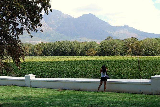 African Story Wine Tours in the Cape Winelands - The wine tastings: what you’re actually learning