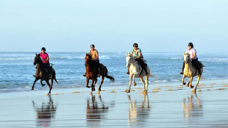 Agadir and Taghazout: 2-Hour Horseback Ride on the Beach - Beach Horseback in Agadir or Taghazout: What Makes It Special