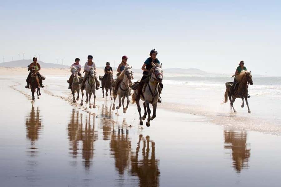 Agadir and Taghazout: 2-Hour Horseback Ride on the Beach - My Booking Checklist Before You Go