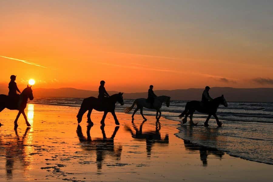 Agadir and Taghazout: 2-Hour Horseback Ride on the Beach - The Ride Along the Coast: Pace, Safety, and the Photo-Friendly Sunlight