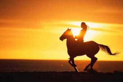 Agadir and Taghazout: 2-Hour Horseback Ride on the Beach - Stables to Beach: What You’ll Do Before You Set Off