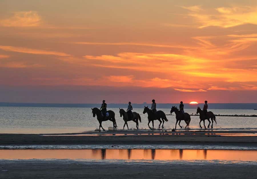 Agadir and Taghazout: 2-Hour Horseback Ride on the Beach - Sunset vs Sunrise: Picking the Best Time Without Regret