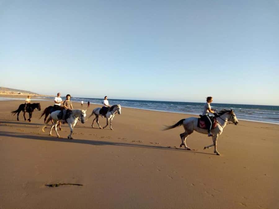 Agadir and Taghazout: 2-Hour Horseback Ride on the Beach - Group Size, Languages, and the “Mixed Skills” Advantage