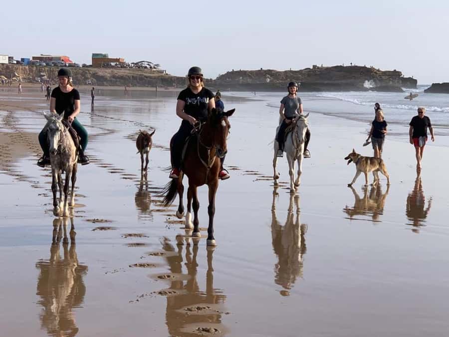 Agadir and Taghazout: 2-Hour Horseback Ride on the Beach - Price and Value: Is $176 Worth 90 Minutes on the Beach?