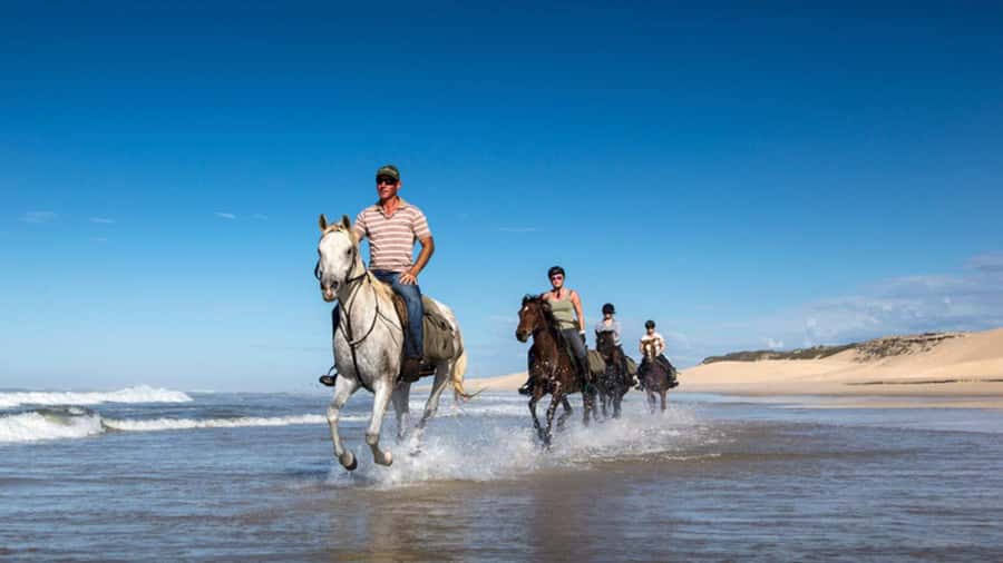 Agadir and Taghazout: 2-Hour Horseback Ride on the Beach - Who This Ride Suits Best (and Who Might Want Another Option)