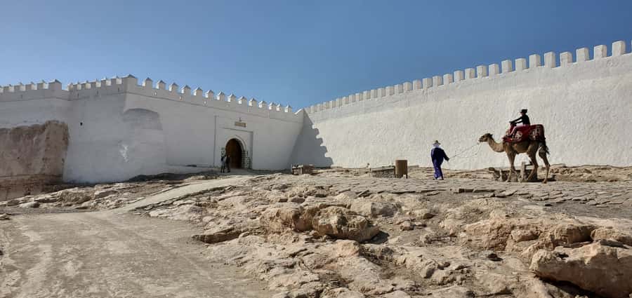 Agadir: Cable Car Ticket and Guided City Tour - Who should book this tour, and who should skip it