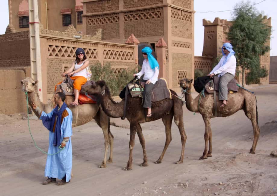 Agadir: Camel Ride With Tea & BBQ Dinner Option - Key things that make this camel ride a solid pick