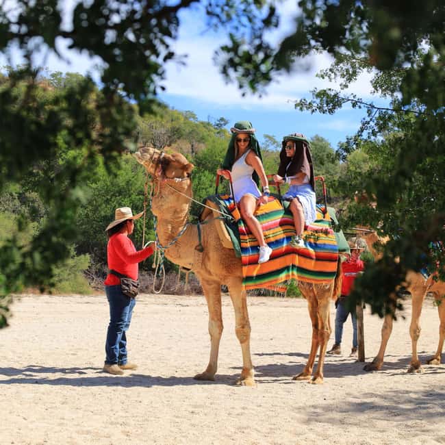 Agadir: Camel Ride With Tea & BBQ Dinner Option - Getting to the Ranch: Hotel Pickup and What the Day Really Starts Like