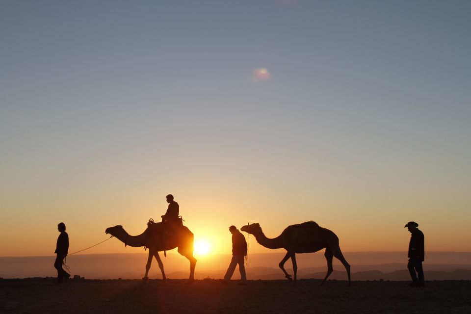 Agadir: Camel Ride With Tea & BBQ Dinner Option - BBQ Dinner Option: What You Get and What to Expect From the Meal