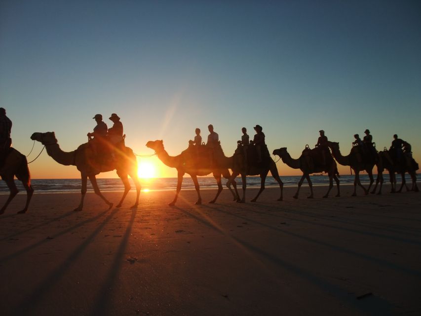 Agadir: Camel Ride With Tea & BBQ Dinner Option - Who This Camel Ride Fits Best (and Who Might Reconsider)