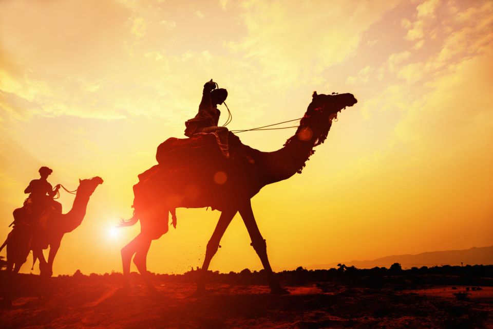 Agadir: Camel Ride With Tea & BBQ Dinner Option - Practical Tips to Make Your Ride More Comfortable