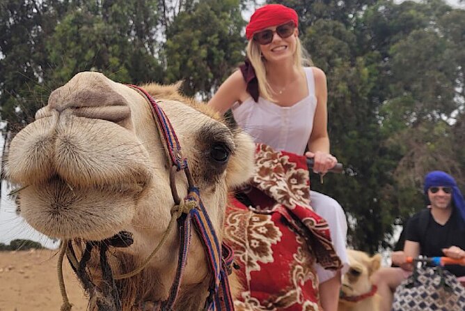 Agadir Camel Rides with Tea Drink & cakes - Key things I’d plan for