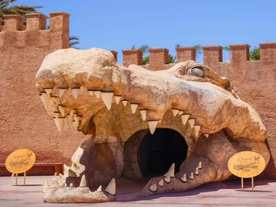 Agadir: Crocoparc Entry Ticket with Transfers, Guide, & Tea - Crocoparc entry: what you’ll notice the moment you step in