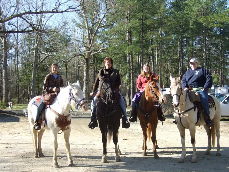 Agadir: Forest and Sand Dunes Guided Horse Riding - Quick Practical Tips Before You Go