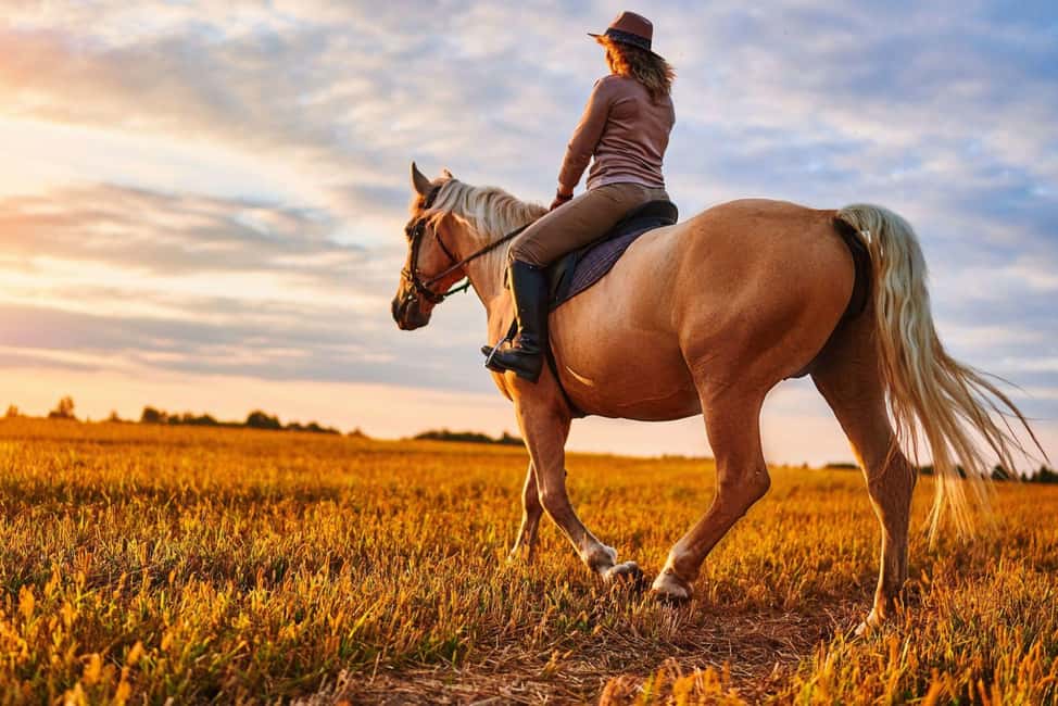 Agadir: Forest and Sand Dunes Guided Horse Riding - From Your Hotel to the Stables: How the Start Works