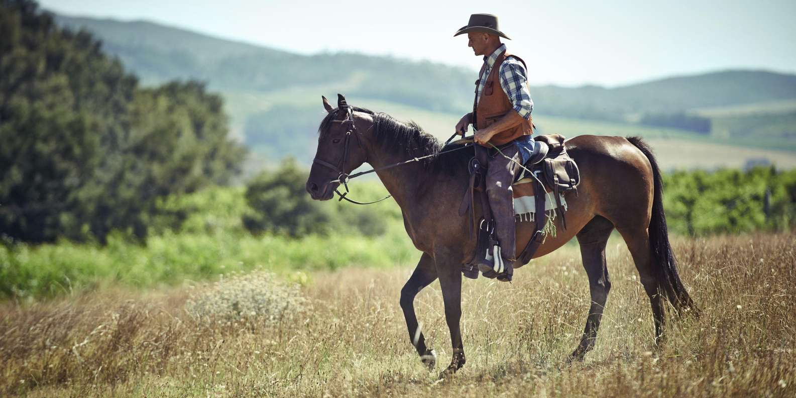 Agadir: Forest and Sand Dunes Guided Horse Riding - Beach and Sand Dunes: Where the Ride Turns Scenic