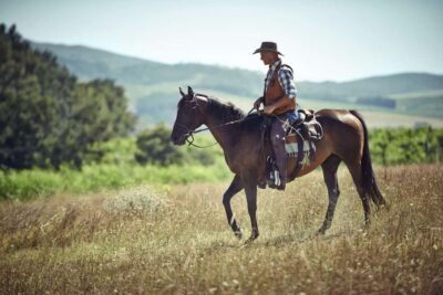 Agadir: Forest and Sand Dunes Guided Horse Riding - Eucalyptus Forest Riding: Cool Shade and a Slow-Moving Rhythm