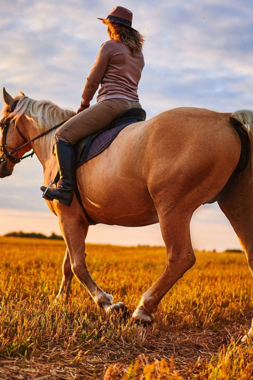 Agadir: Forest and Sand Dunes Guided Horse Riding - Panoramas and Country Town Views Along the Way