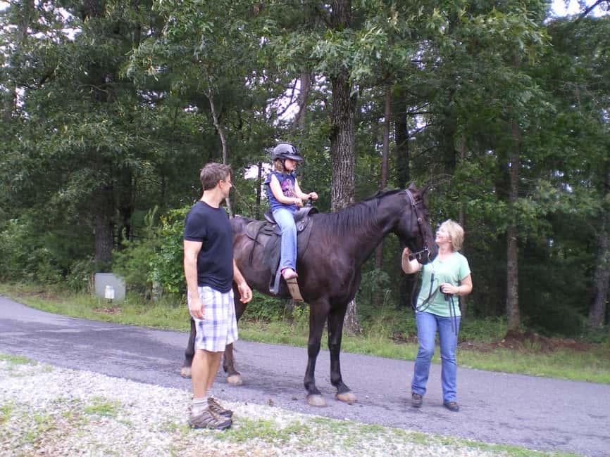 Agadir: Forest and Sand Dunes Guided Horse Riding - Who Should Book This Agadir Horse Ride