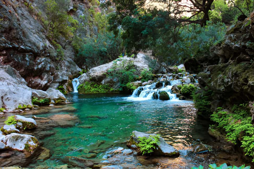 Agadir or Taghazout: Paradise Valley with Lunch & Transfers - A half-day escape with pickups from Agadir and Taghazout
