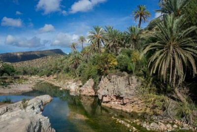 Agadir Paradise Valley Guided Tour Swimming & Breakfast - Breakfast in the botanical garden: simple, local, and filling