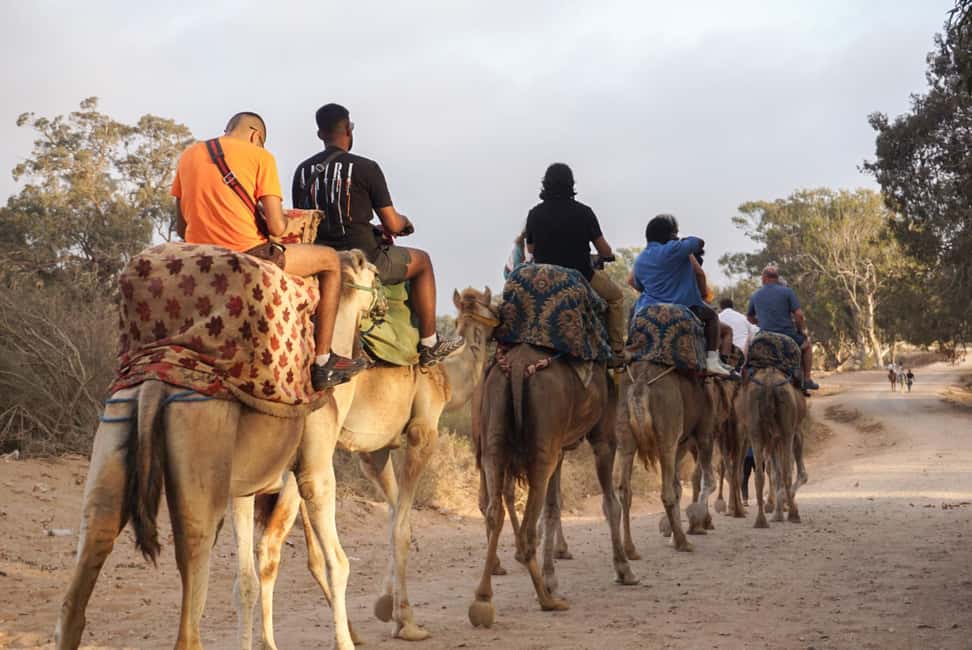 Agadir/Taghazout: Camel Rides with Tea Drink and Transfers - Camel Ride Highlights in Agadir You’ll Actually Notice