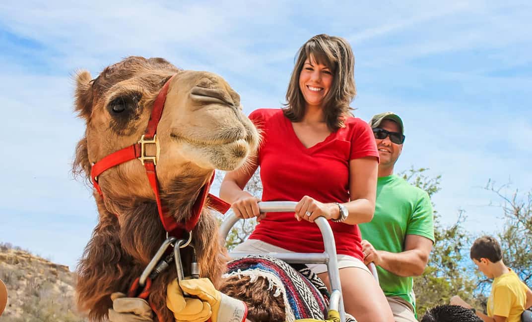 Agadir/Taghazout: Camel Rides with Tea Drink and Transfers - Camel and Tea in Agadir: A Proper Change of Pace