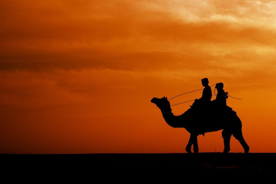 Agadir/Taghazout: Camel Rides with Tea Drink and Transfers - Flamingos at the River Area: Expect the Chance, Not a Guarantee