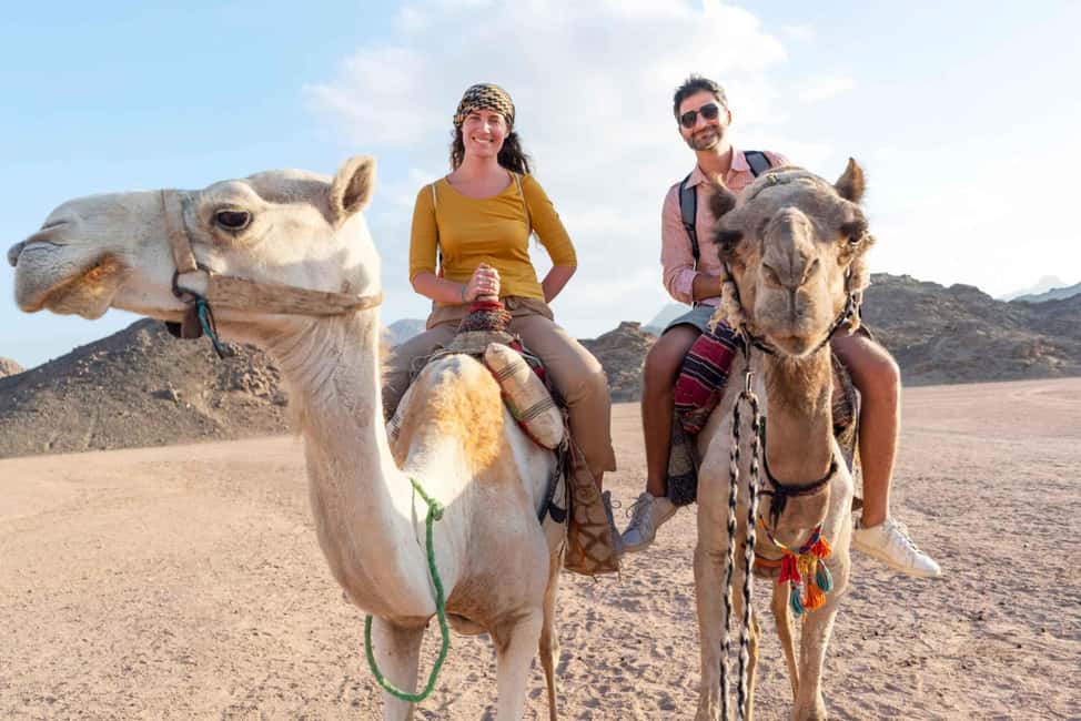 Agadir/Taghazout: Camel Rides with Tea Drink and Transfers - Tea and Biscuits: The End-Point That Makes It Feel Complete