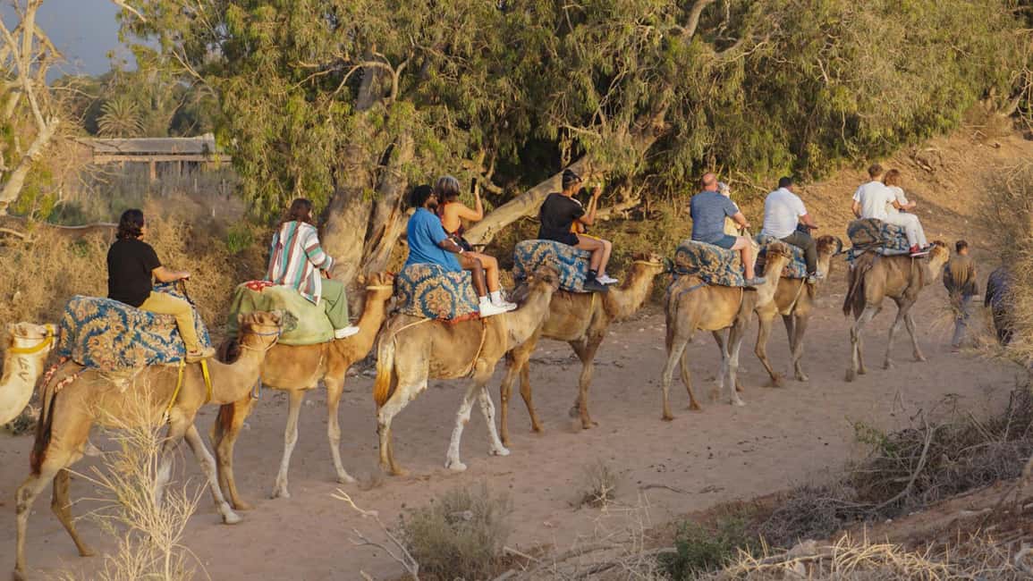 Agadir/Taghazout: Camel Rides with Tea Drink and Transfers - Guides and Photo Help: Mohamed, Hossain, and the Photo Stopping