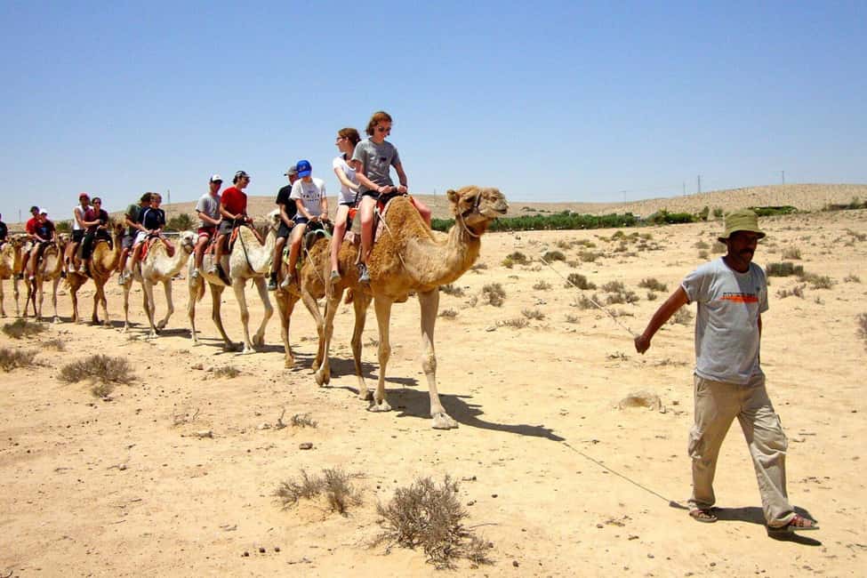 Agadir/Taghazout: Camel Rides with Tea Drink and Transfers - Comfort, Safety, and Animal Welfare: What to Watch Before You Go