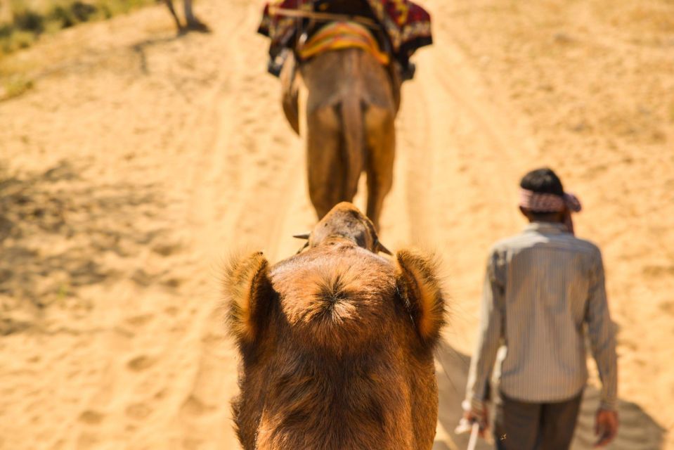 Agadir/Taghazout: Camel Rides with Tea Drink and Transfers - Price and Value at Around $22: What You’re Really Paying For