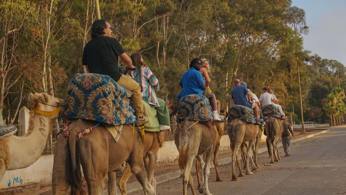 Agadir/Taghazout: Camel Rides with Tea Drink and Transfers - Transfers and Pickup Timing: Plan for a Small Waiting Window
