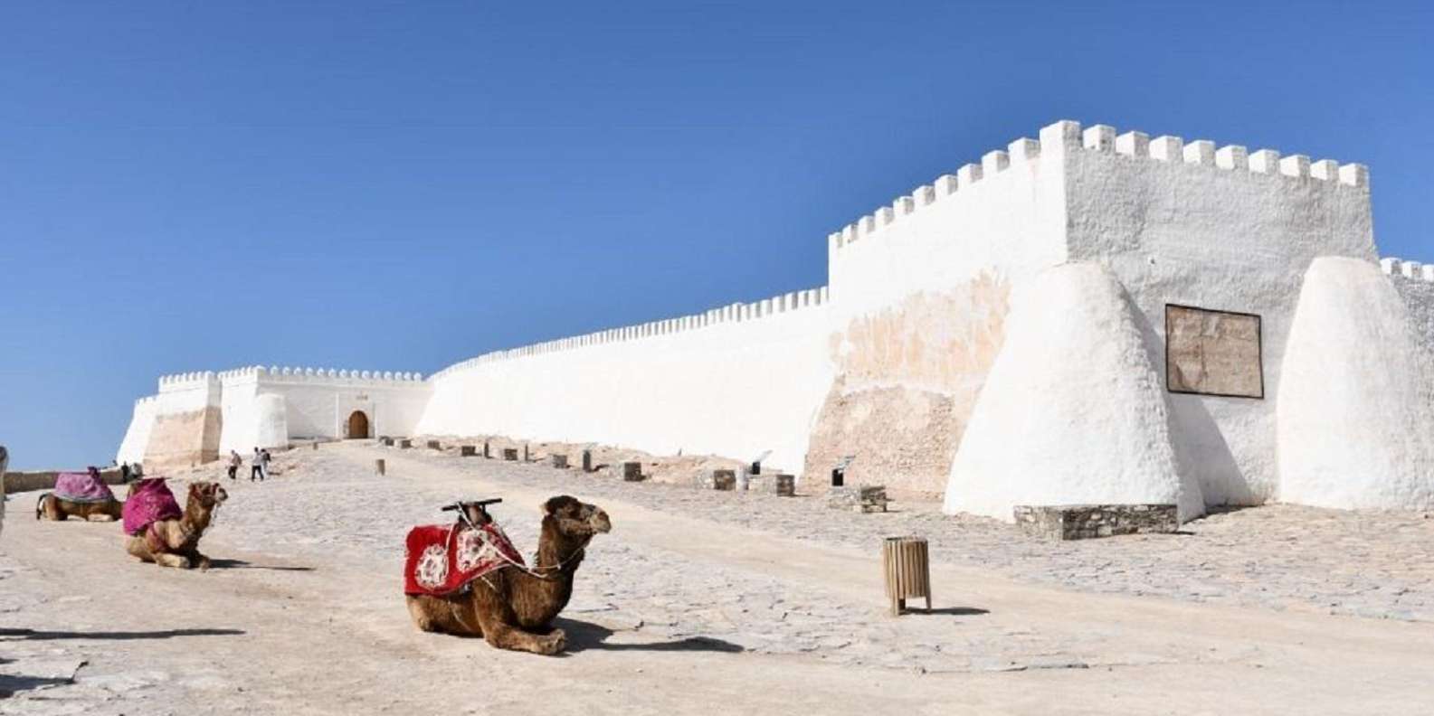 Agadir/Taghazout: Old Medina of Coco Polizzi and Agadir Tour - Argan Oil Factory Visit: The Real Product Story (and What You Should Know)