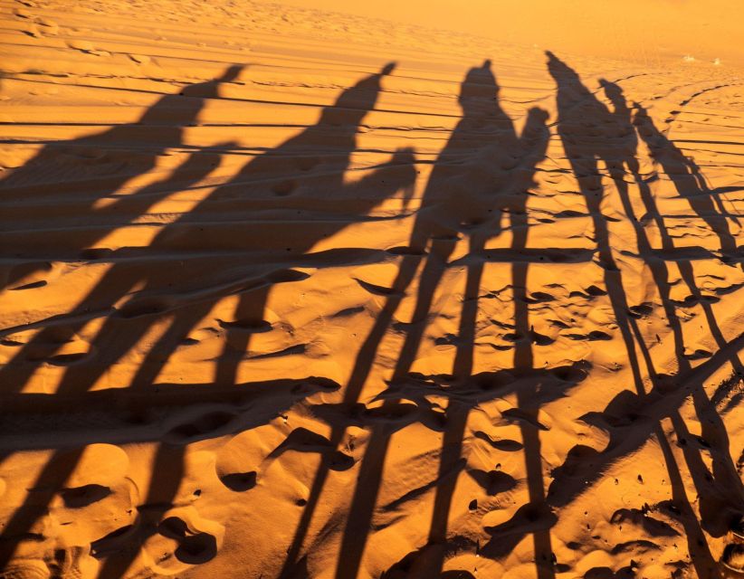 Agadir/Taghazout/Port: Sahara Desert 4x4 Day Trip with Lunch - Key Highlights You’ll Actually Feel During the Day