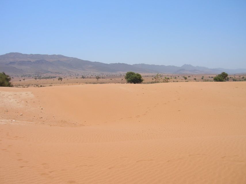 Agadir/Taghazout/Port: Sahara Desert 4x4 Day Trip with Lunch - 4x4 Off-Road Driving Near Tifnit Mini-Sahara