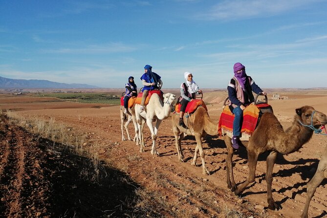 Agafay Desert Package: Quad, Camel Rides & Dinner Show or Lunch - Local culture beyond the performance: tea, argan, and camp life