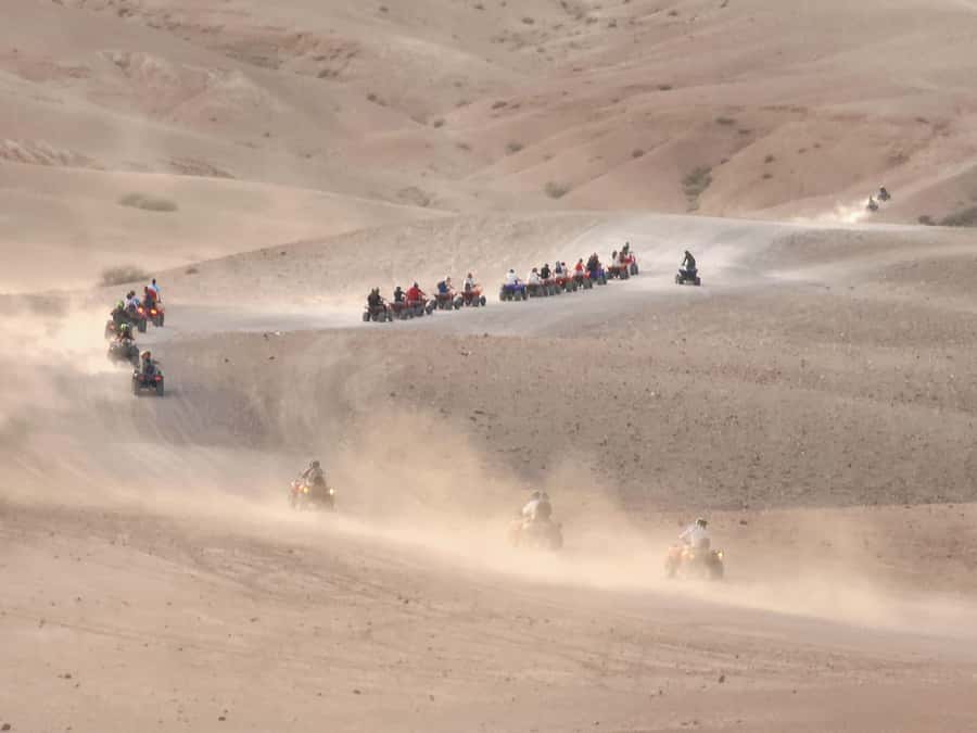 Agafay Desert: Quad Biking, Camel Ride, Lunch - Should you book this tour or look at alternatives?