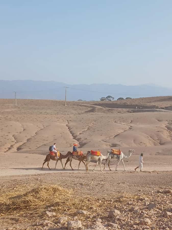 Agafay Desert: Quad Biking, Camel Ride, Lunch - Price and logistics: does it feel like good value at around $34?